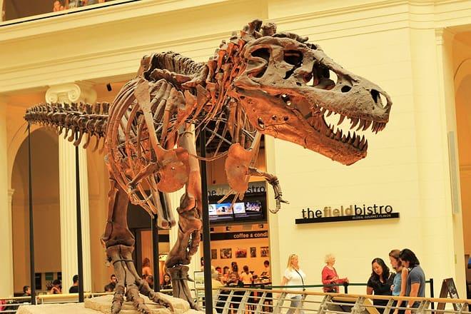 The Field Museum