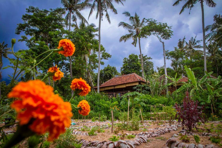 <strong>Garden style:</strong> Set in a gorgeous garden, Moksa draws inspiration from nature for its plant-based menu. The restaurant also hosts community events, such as talks and films, as well as a farmer's market. 