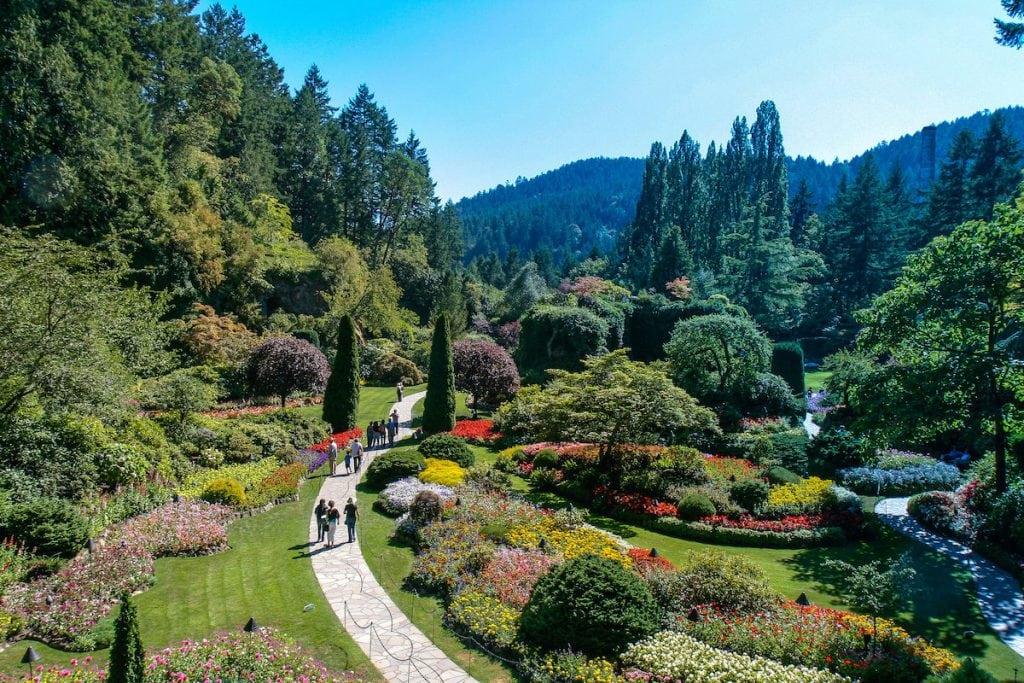 24 Things to Do on Vancouver Island, British Columbia