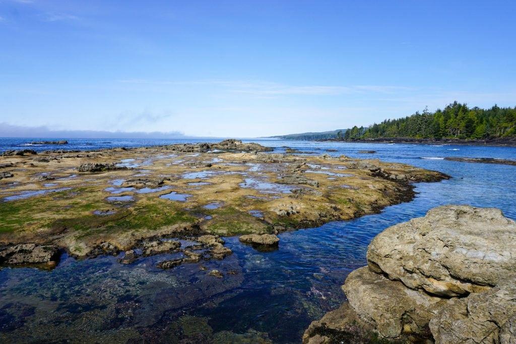 Botanical Beach makes for an excellent hike near Port Renfrew, Vancouver Island.